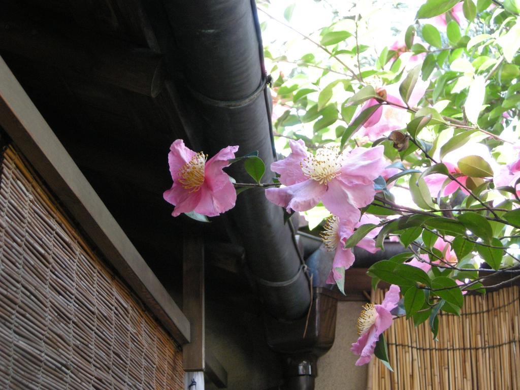 Guesthouse Itoya Kyoto Buitenkant foto